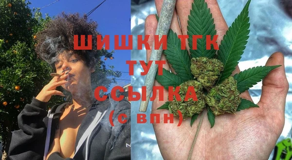 крисы Аркадак
