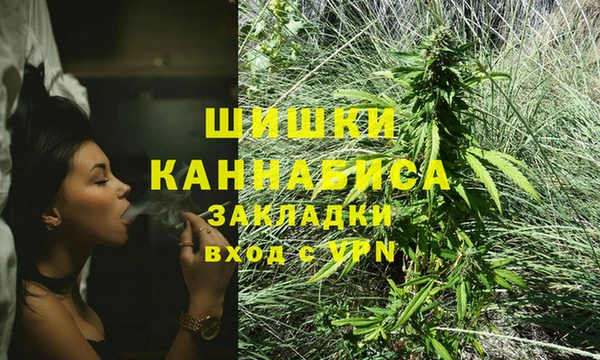 крисы Аркадак