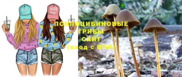 мяу мяу мука Армянск