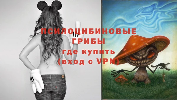 круглые Арсеньев